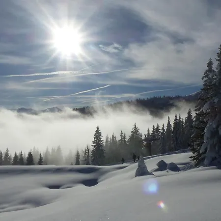 飞利浦斯公寓 公寓 弗拉绍
