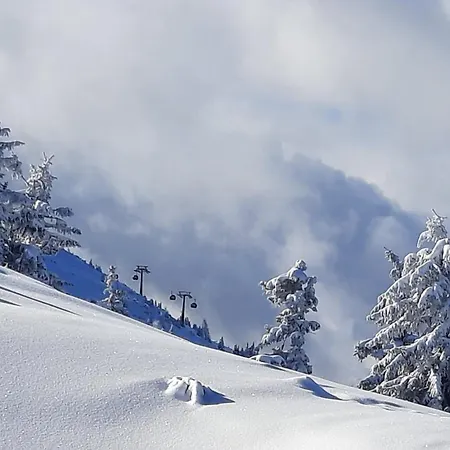 飞利浦斯公寓 公寓 弗拉绍