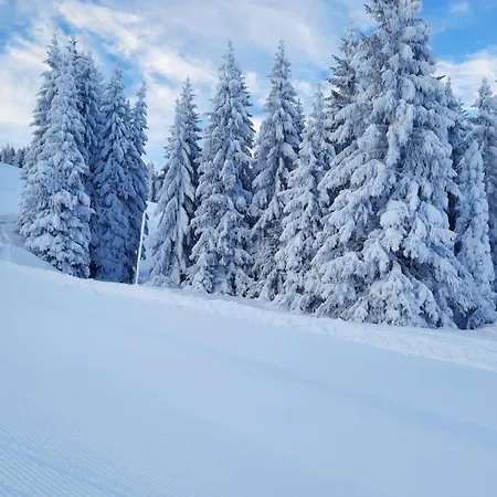 Апартаменты Mountainview Appartement Mit Balkon Und Carport Флахау