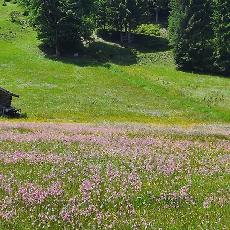 飞利浦斯公寓 *