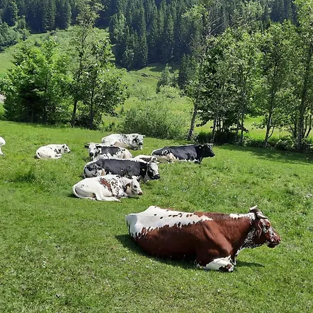 Mountainview Appartement Mit Balkon Und Carport * Флахау