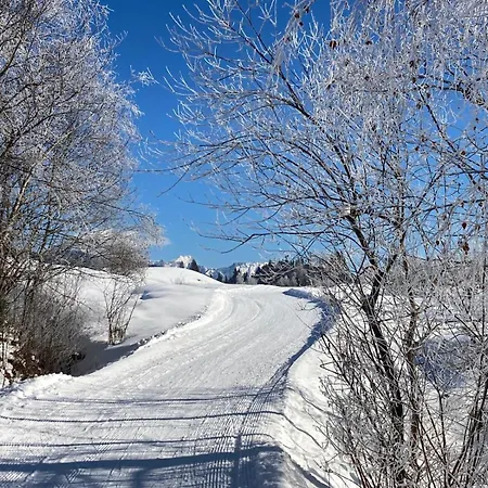 Mountainview Appartement Mit Balkon Und Carport