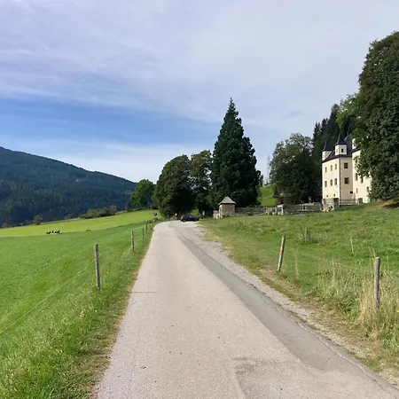 Mountainview Appartement Mit Balkon Und Carport Апартаменты Флахау