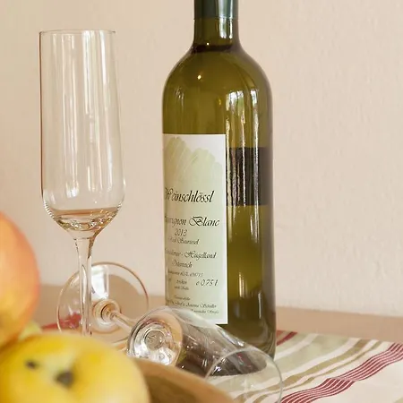 飞利浦斯公寓 *