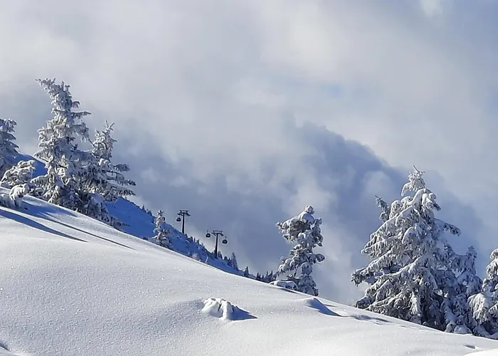 Mountainview Mit Balkon Und Carport Appartement Flachau