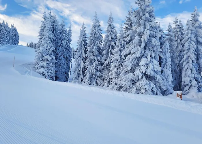 Appartement Mountainview Mit Balkon Und Carport Flachau